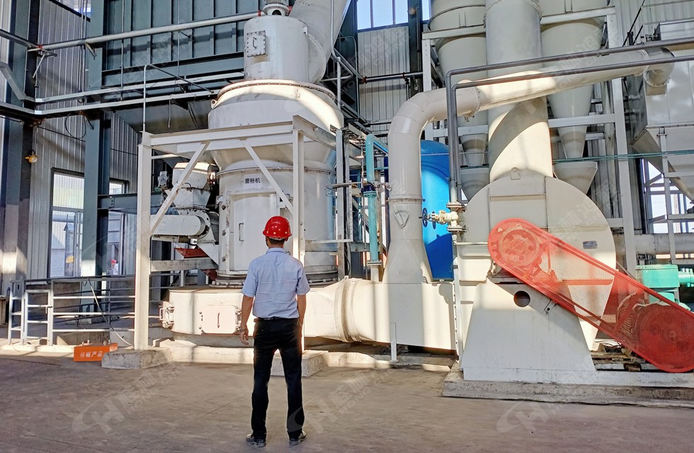 HC電廠(chǎng)脫硫石膏擺式磨粉機(jī)