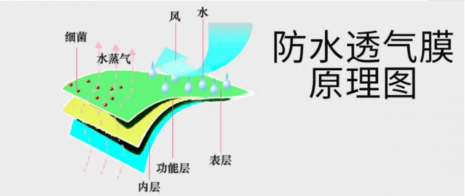 防水透氣膜原理圖(圖片來源:在途環保) 防水透氣膜原理圖(圖片來源:在途環保)